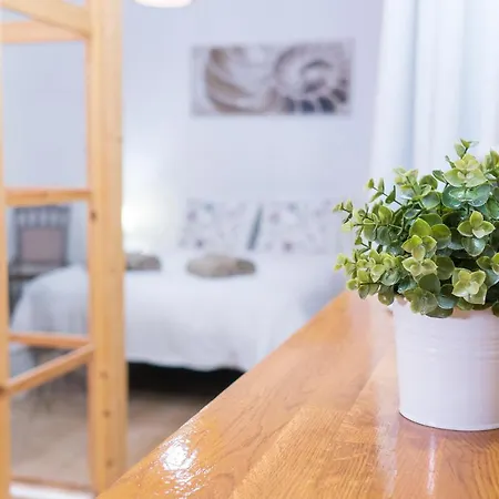 Apartment Lovely Center